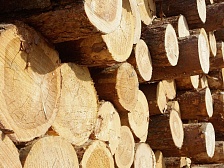 Правительство назвало 9 мер для стимулирования экспорта готовой лесной продукции